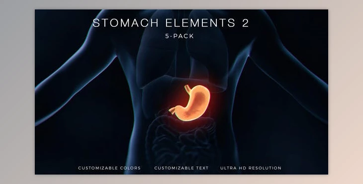 Download Stomach Elements 2 (Videohive 33200534) - AE Project