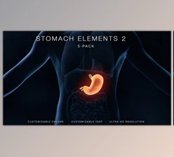 Download Stomach Elements 2 (Videohive 33200534) - AE Project