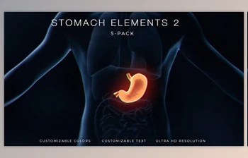 Download Stomach Elements <span class='badge badge-warning'>2</span> (Videohive 33200534) - AE Project