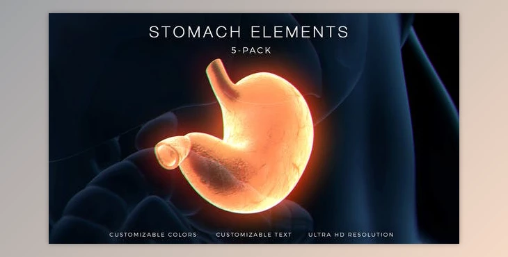 Download Stomach Elements (Videohive 33200461) - AE Project