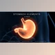 Download Stomach Elements (Videohive 33200461) - AE Project