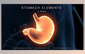 Download Stomach <span class='badge badge-warning'>Elements</span> (<span class='badge badge-warning'>Videohive</span> 33200461) - AE <span class='badge badge-warning'>Project</span>