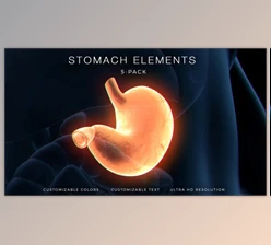 Download Stomach Elements (Videohive 33200461) - AE Project