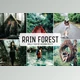 Download Rain Forest Pro Lightroom Presets By Creativetacos