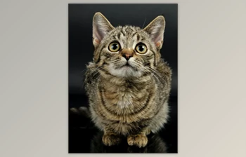 Download Old Canvas <span class='badge badge-warning'>Painting</span> – <span class='badge badge-warning'>Photoshop</span> Action By ethanfx