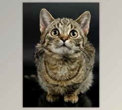 Download Old Canvas Painting – Photoshop Action By ethanfx