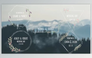 Download Wedding Titles V2 (<span class='badge badge-warning'>Videohive</span> 33270734) - PR <span class='badge badge-warning'>Project</span>