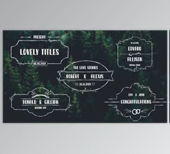Download Lovely Titles (Videohive 33269724) - PR Project
