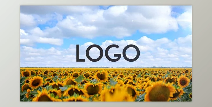 Download Sunflower Opener (Videohive 33348696) - AE Project