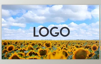 Download Sunflower <span class='badge badge-warning'>Opener</span> (Videohive 33348696) - AE Project