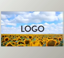 Download Sunflower Opener (Videohive 33348696) - AE Project