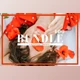 Download 400+ Lightroom Presets Bundle By Rapita Photography© (DNG, XMP)