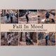 Download Fall In Mood Lightroom PS Presets By EpicoMedia