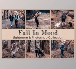 Download Fall In Mood Lightroom PS Presets By EpicoMedia