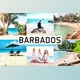 Download Barbados Pro Lightroom Presets By Creativetacos (Mob, Desk)