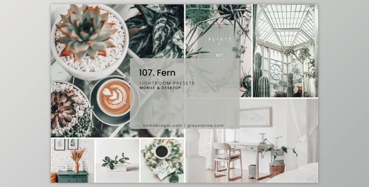 Download 107. Fern Presets By Advina Store (Mob, Desk)
