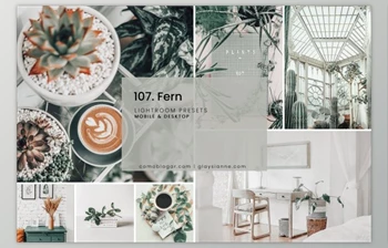 Download 107. <span class='badge badge-warning'>Fern</span> Presets By Advina Store (Mob, Desk)