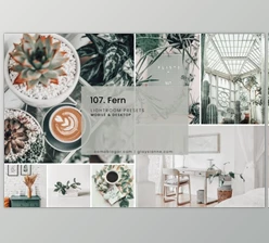 Download 107. Fern Presets By Advina Store (Mob, Desk)