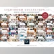 Download BUNDLE 11 Lightroom Presets X 281 By Kzara Visual Concepts (Mob, Desk)