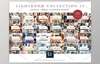 Download <span class='badge badge-warning'>BUNDLE</span> 11 Lightroom Presets X 281 By Kzara Visual Concepts (Mob, Desk)