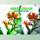 Download Green Color Photoshop Action By MRI STUDIO