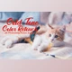 Download Cold Tone Color Retouch Effect Bundle by RH Jim