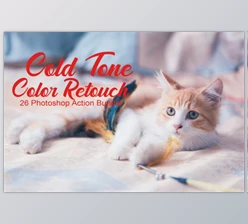 Download Cold Tone Color Retouch Effect Bundle by RH Jim