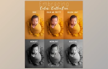 Download The Embracing <span class='badge badge-warning'>Color</span> Collection by Claudia (ATN)