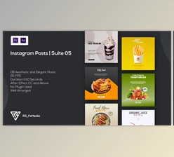 Download Instagram Posts | Suite 05 | MOGRT (Videohive 33431280)