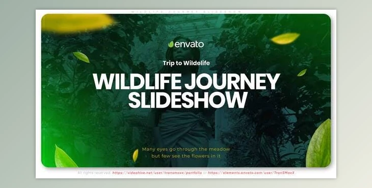 Download Wildlife Journey Slideshow (Videohive 33481975) - AE Project