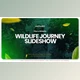Download Wildlife Journey Slideshow (Videohive 33481975) - AE Project