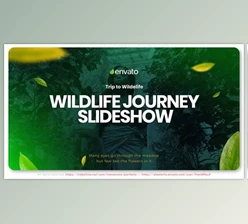 Download Wildlife Journey Slideshow (Videohive 33481975) - AE Project