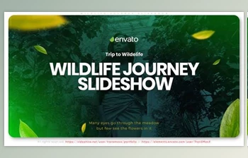 Download <span class='badge badge-warning'>Wildlife</span> Journey Slideshow (Videohive 33481975) - AE Project