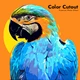 Download Color Cutout Photo Effect By U_Design (ATN)