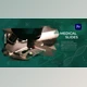 Download Medical Biology Opener (Videohive 33491489)