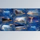 Download Digital Slideshow (Videohive 22235314) - AE Project