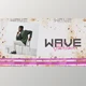Download Retro Wave Intro (Videohive 33549731) - PR Project