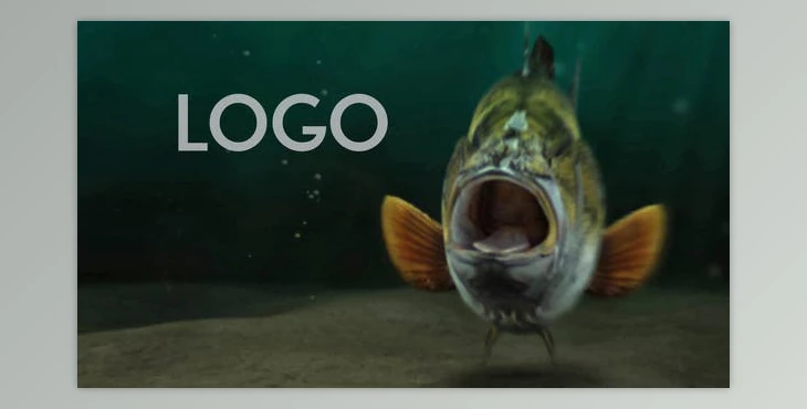 Download Fishing Opener (Videohive 33600676) - AE Project