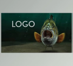 Download Fishing Opener (Videohive 33600676) - AE Project