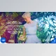 Download Wedding Package (Videohive 22669041) - AE Project