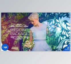Download Wedding Package (Videohive 22669041) - AE Project