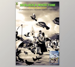 Download 20 Black & White Tone Photoshop Action By psxpert