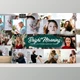 Download Bright Morning Lightroom Presets By Design Addict (Mob, Desk)