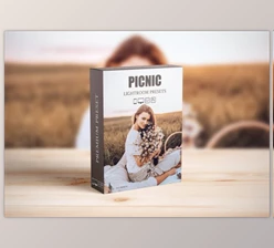Download Picnic Outdoor Lightroom Presets By AAA Presets (Mob, Desk)