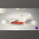 Download Wedding Invitation (Videohive 33500572) - PR Project