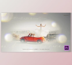Download Wedding Invitation (Videohive 33500572) - PR Project