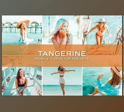Download 5 Blue and Orange Lightroom Presets By TheWayfarerShoppe (Mob, Desk)