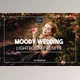 Download Moody Wedding Lightroom Presets By Presetsh Ltd