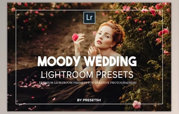 Download Moody <span class='badge badge-warning'>Wedding</span> Lightroom Presets By Presetsh Ltd
