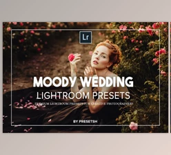 Download Moody Wedding Lightroom Presets By Presetsh Ltd